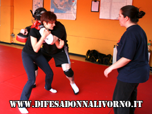 Simulazione di Aggressione